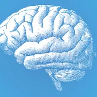 Ilustrasi Otak (iStockPhoto)