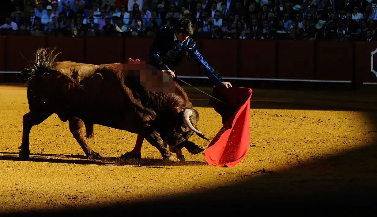 Matador Perancis, Sebastian Castella saat adu banteng di Maestranza, Sevilla pada 14 April 2016. ( AFP PHOTO / CRISTINA QUICLER)