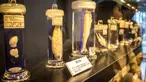 6 museum kedokteran ini diminati traveler karena keunikan koleksinya. 