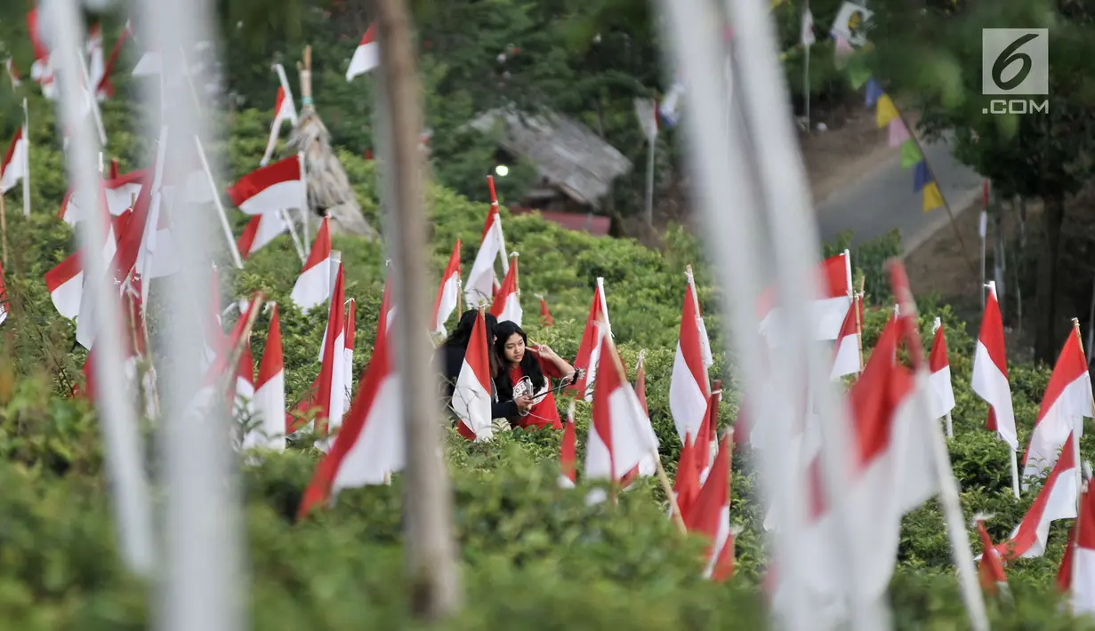 Dua wanita berselfie di antara ribuan bendera Merah Putih di perkebunan teh Kemuning, Karanganyar, Jawa Tengah, Sabtu (25/8). 1.970 bendera Merah Putih dikibarkan masyarakat setempat menyemarakkan HUT ke-73 RI. (Merdeka.com/Iqbal S. Nugroho)