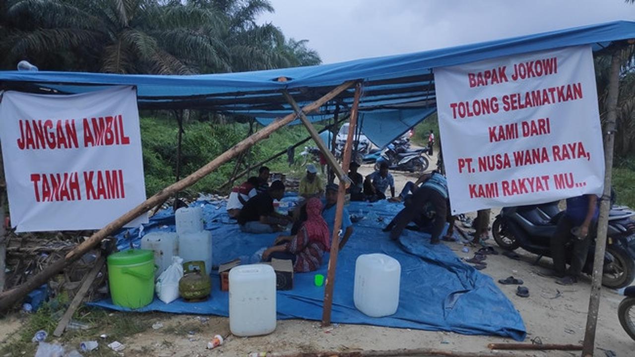 Petani lahan plasma di Kabupaten Pelalawan mendirikan tenda sebagai perlawanan eksekusi kebun sawit mereka.