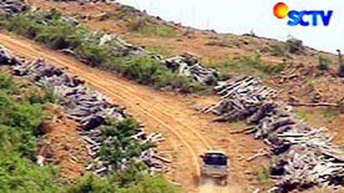 Puluhan Ribu kayu  Ilegal Disita di Kaltim News Liputan6 com
