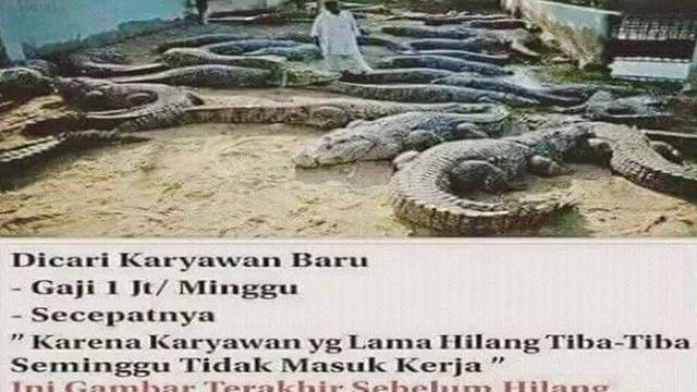 lowongan pekerjaan absurd