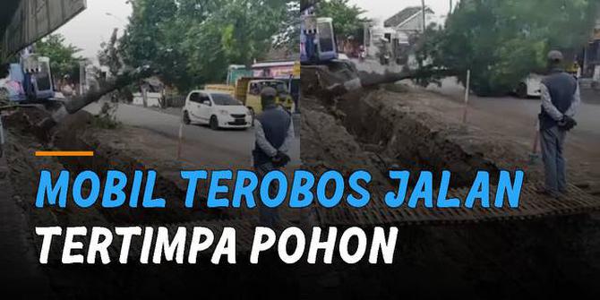 VIDEO: Sudah Diingatkan, Mobil Terobos Jalan Akhirnya Tertimpa Pohon