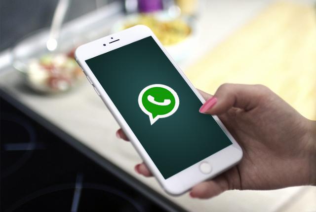 Fitur GIF pada whatsapp dinilai sangat meresahkan/copyright enigma-recovery.com