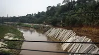 Normalisasi akan dilakukan sepanjang 60,5 kilometer Sungai Ciliwung, Jakarta. Foto diambil pada Senin (10/11/2014). (Liputan6.com/Faizal Fanani) 