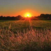 Ilustrasi penampakan Matahari dari Bumi. (Sumber foto: Pexels.com)