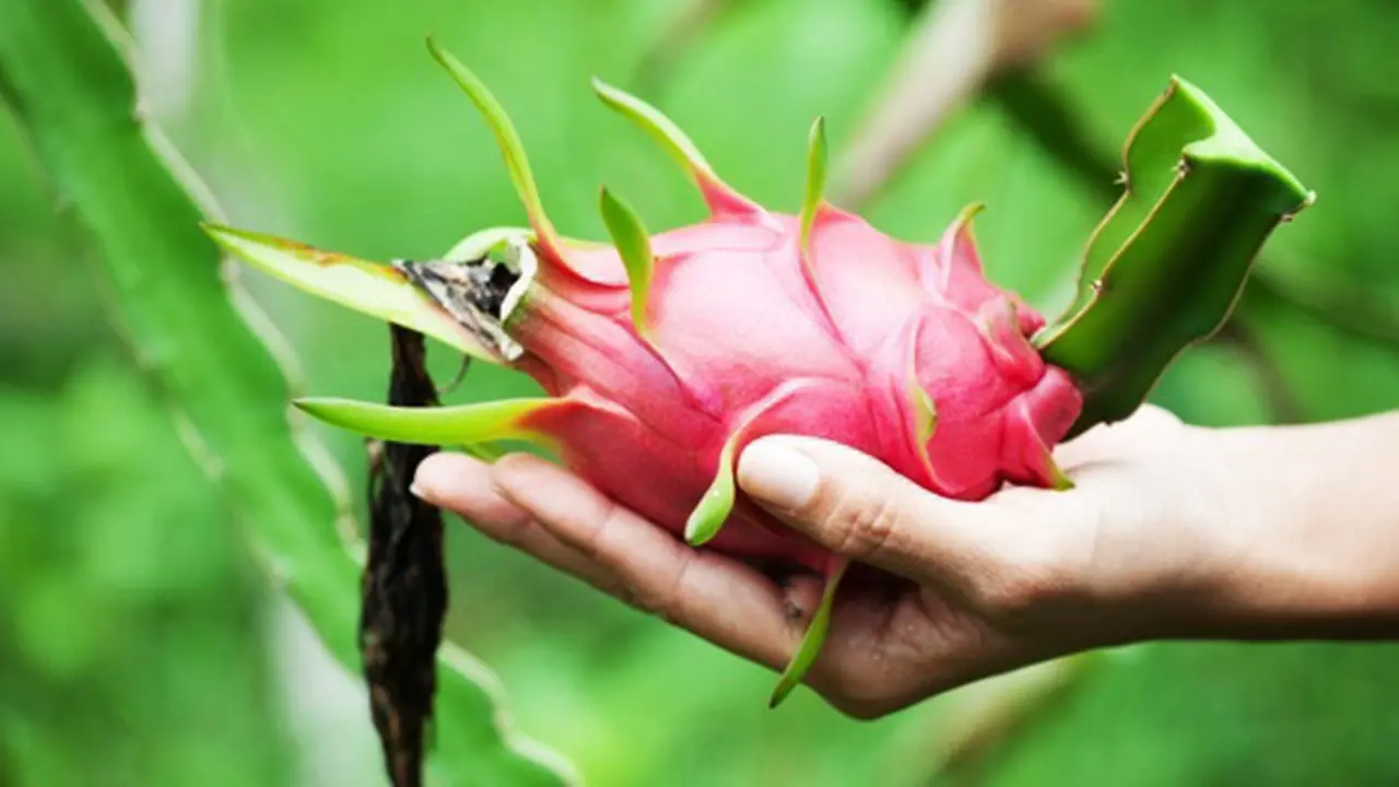 Foto : Copyright Thinkstockphotos.com