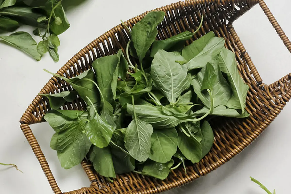 sayur bayam