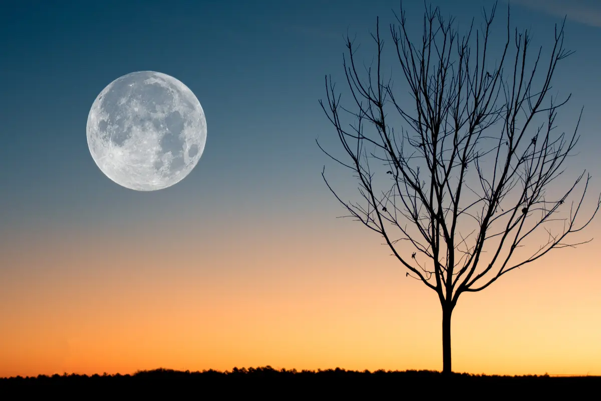gerhana bulan
