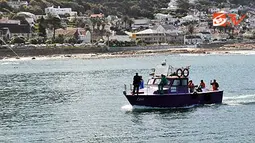 Nelayan Kalk Bay, Fishoek, Cape Town, Afsel.
