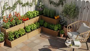 Ilustrasi Kebun Sayur Mini di Teras Rumah. (Foto: Gemini AI)