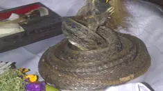 liputan6.com