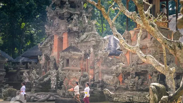 Monkey forest