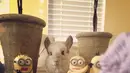short desc
