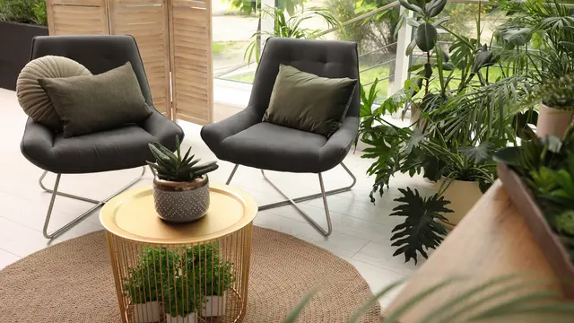 10 Ide Taman Minimalis dalam Rumah untuk Interior yang Lebih Hidup dan Indah