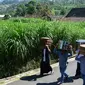 Warga membawa makanan menuju makam Desa Selo, Kabupaten Boyolali, Kamis (3/5). Tradisi ini Sebagai perayaan menyambut datangnya bulan ramadan, kemudian dilanjutkan makan bersama di pertigaan jalan desa. (Liputan6.com/Gholib)