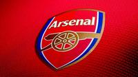 Arsenal akan mencari sosok direktur olahraga untuk mengurusi transfer dan kontrak pemain. (doc. Arsenal)