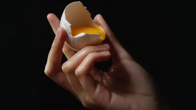 Telur