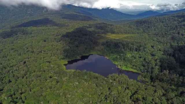 Indonesia telah berhasil menurunkan angka deforestasi sampai titik terendah pada tahun 2021-2022 sebesar 104 ribu ha. Sementara, deforestasi Indonesia tahun 2020-2021 adalah sebesar 113,5 ribu ha.