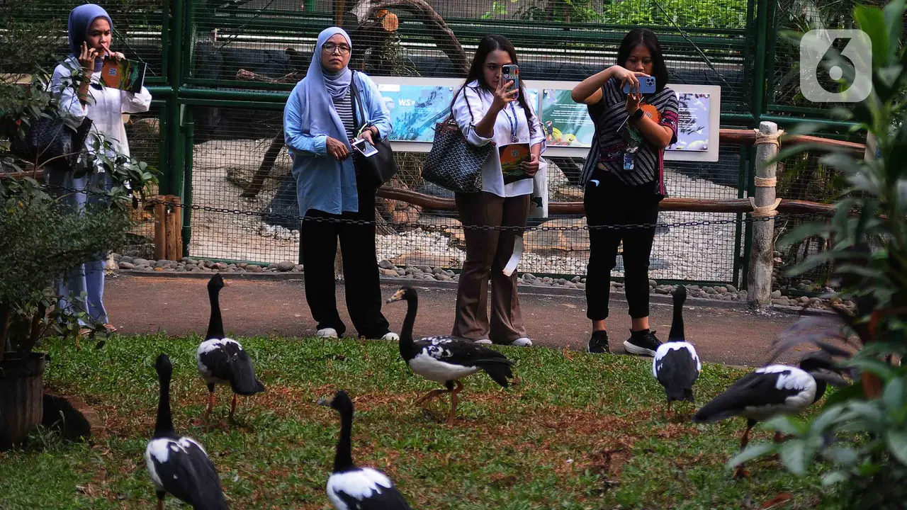 Taman Burung TMII