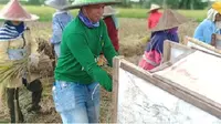 Penuhi Kebutuhan Pangan, Baznas Dorong Bantuan Produksi Pertanian