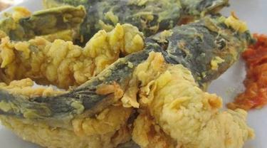 Resep Cara Membuat Lele Terbang Krispi Kresss Lifestyle