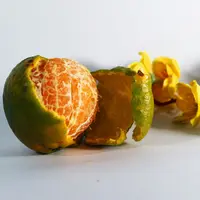 Mengusir nyamuk dengan kulit jeruk. (Copyright Pexels/MURALI DHARAN)