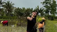 Niat Lari Pagi, Intip 5 Potret Sintya Marisca Berakhir Nyemplung ke Sawah Bantu Petani Menanam Padi