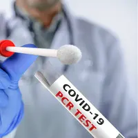 ilustrasi tes pcr/Giovanni Cancemi/shutterstock