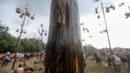 Pohon pinang yang telah dilumuri oli dalam lomba panjat pohon pinang di Pantai Festival Ancol, Jakarta, Rabu (17/8/2022). Sebanyak 45 pohon pinang siap dipanjat oleh pengunjung di Pantai Festival Ancol  untuk memeriahkan Hari Ulang Tahun (HUT) Ke-77 Republik Indonesia. (Liputan6.com/Faizal Fanani)