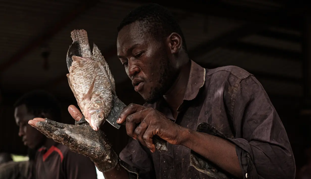Pedagang ikan yang telah bekerja sejak berusia tujuh tahun dan sekarang menjadi mahasiswa memotong ikan di sebuah pasar ikan di dekat Sungai Nil, di kota kembar Khartoum, Omdurman (24/6/2019). (AFP Photo/Yasuyoshi Chiba)