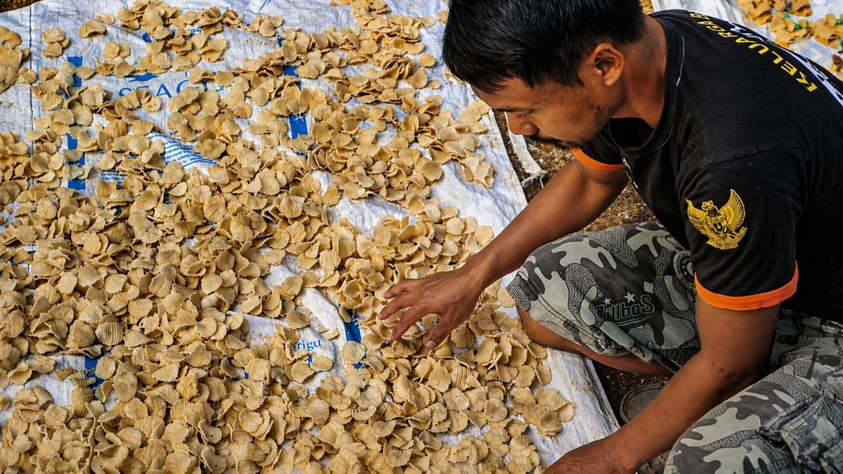 Sentuhan Pemberdayaan BRI Dorong Desa Sumberejo Pacitan Jadi Motor Ekonomi Baru