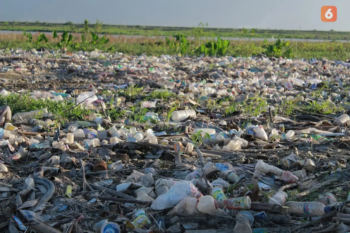 Sampah Plastik danau