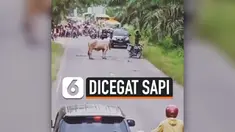 THUMBNAIL SAPI