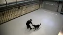 Petugas kepolisian MTA Keith Flood melatih mitranya anjing ras Jerman bernama Doc di sebuah gudang di Kepolisian MTA Canine Training Center, Stormville, New York, (6/6/2016). (REUTERS/Mike Segar)