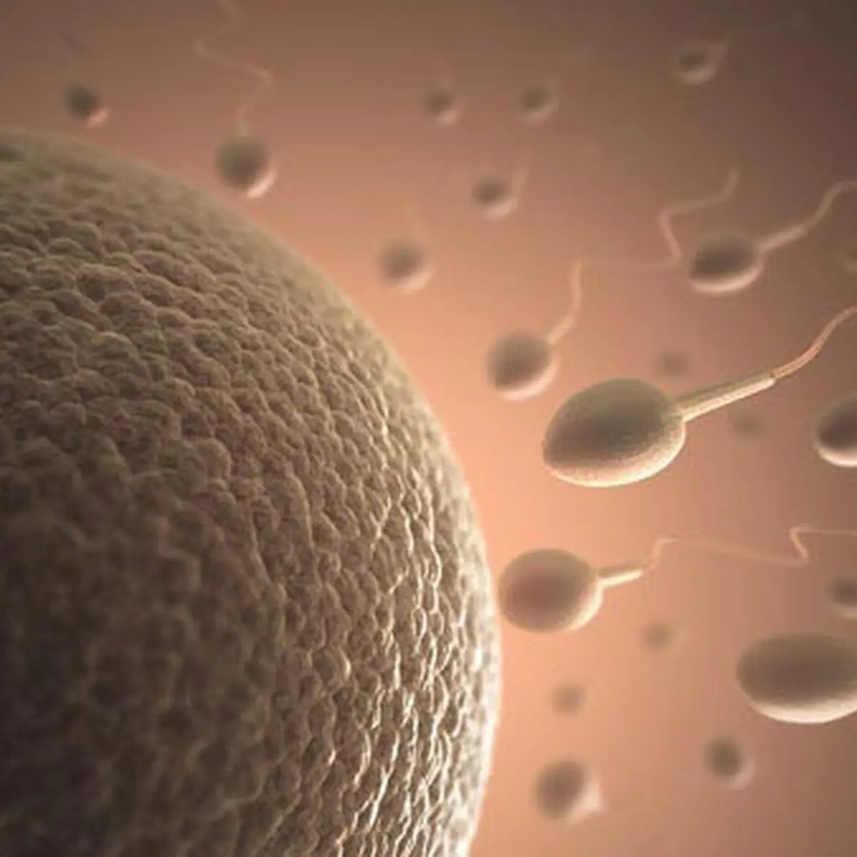 Perempuan 15 Tahun Positif Hamil Setelah Menelan Sperma - Health  Liputan6.com