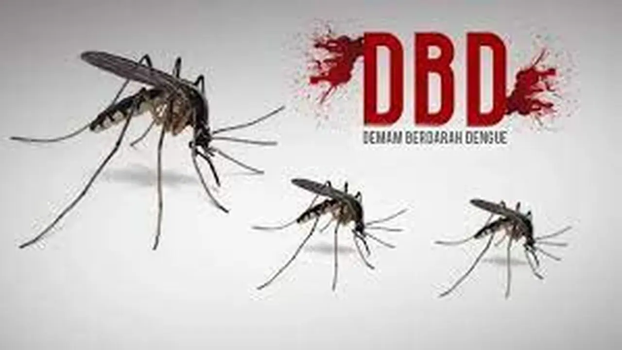 Ilustrasi Demam Berdarah Dengue (DBD). (Istimewa)
