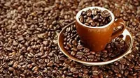 Petani Kopi Harapkan Cuaca Bersahabat Biar Produksi Melambung