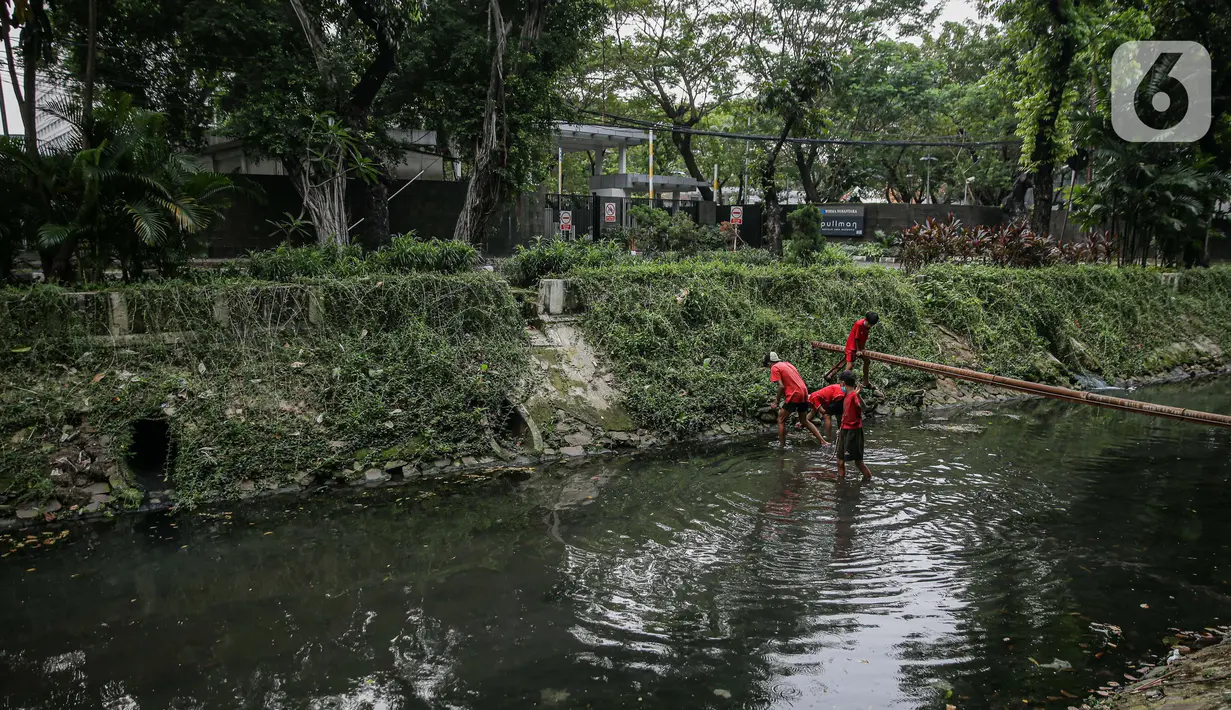 Anak-anak bermain saat mencari belut di anak kali menteng, Jakarta, Selasa (8/6/2021). Ruang bermain anak-anak di Jakarta kian terbatas. Terbatas lahan bermain membuat anak-anak Jakarta bermain ditempat yang tak semestinya demi mencari kesenangan. (Liputan6.com/Faizal Fanani)