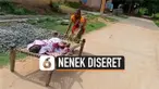 nenek diseret