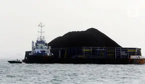 Dewan Energi Beri Solusi Jaga Pasokan Batu Bara Pembangkit Listrik