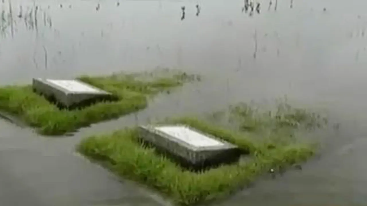  TPU Semper Terendam Banjir