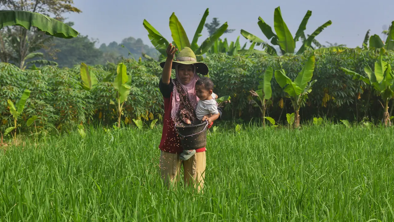Distribusi Pupuk Subsidi kepada Petani Mulai Lancar