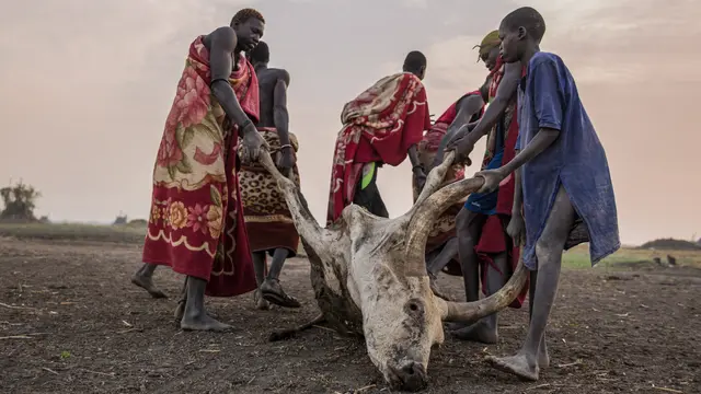 Kehidupan Penggembala Ternak Kala Kekeringan Landa Sudan Selatan