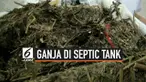 Sebanyak 82 kilogram ganja berhasil diamankan Direktorat Reserse Narkoba Polda Banten. Puluhan kilogram ganja tersebut disembunyikan di dalam septic tank rumah salah satu pelaku inisial Ju (48) di Kampung Padurung Wetan, Desa Sukamenak, Kecamatan Cik...
