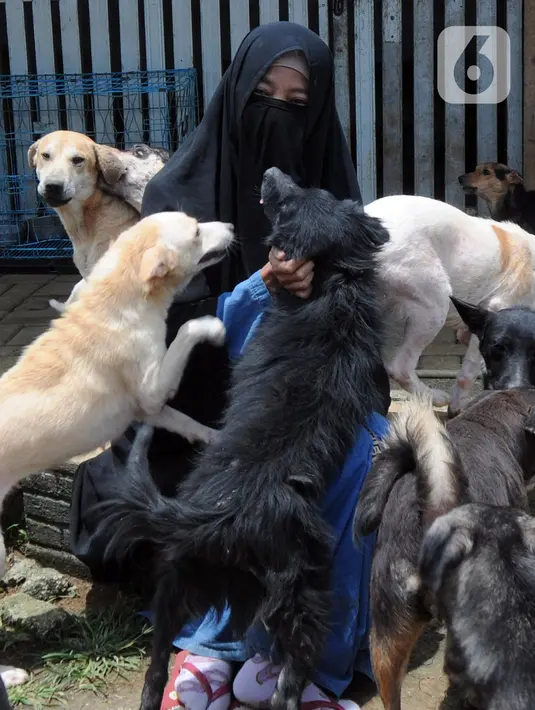Pecinta hewan Hesti Sutrisno bermain dengan anjing-anjing liar peliharaannya di rumah penampungan sementara Green House, Tenjolaya, Bogor, Jawa Barat, Minggu (14/3/2021). Hingga kini, Hesti telah menampung 70 ekor anjing liar. (merdeka.com/Arie Basuki)