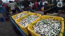 Nelayan tradisional menurunkan hasil tangkapan ikan di Pelabuhan Muara Angke, Jakarta, Sabtu (19/2/2022). Nelayan mengatakan hasil tangkapan ikan mulai membaik seiring pergantian musim dan angin barat. (merdeka.com/Imam Buhori)