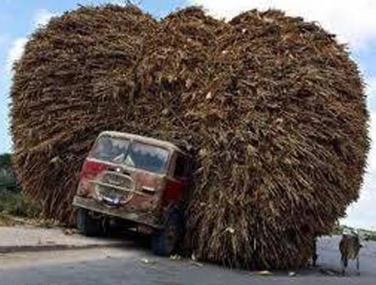 Mobil Bermuatan Unik (Overload)