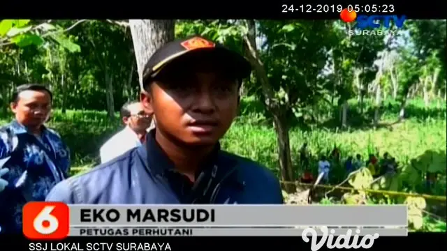 VIDEO: Warga Banjarbanggi Terkejut Ada Temuan Mayat Wanita di Ladang Jagung